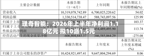 理奇智能:2026年上半年净利润1.18亿元 拟10派1.5元-第3张图片