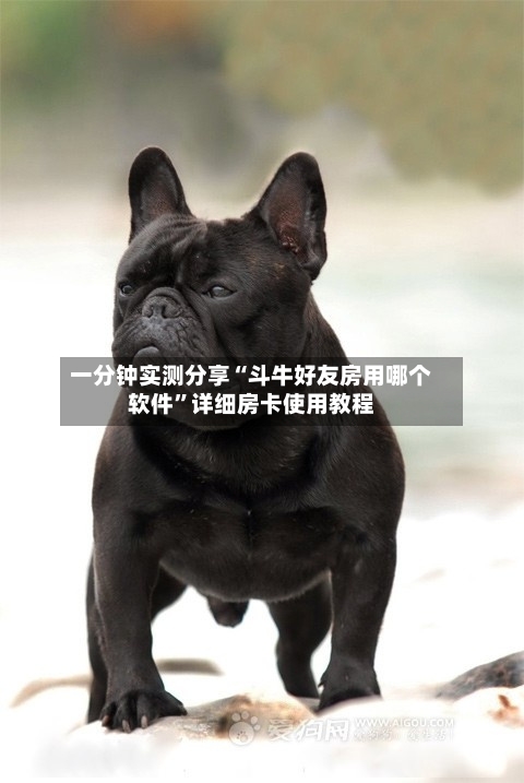 一分钟实测分享“斗牛好友房用哪个软件”详细房卡使用教程-第3张图片