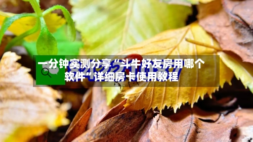 一分钟实测分享“斗牛好友房用哪个软件”详细房卡使用教程-第2张图片
