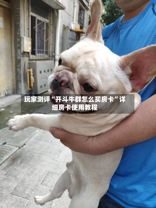 玩家测评“开斗牛群怎么买房卡	”详细房卡使用教程-第2张图片
