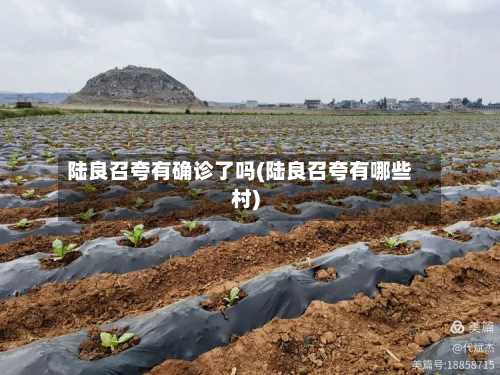 陆良召夸有确诊了吗(陆良召夸有哪些村)