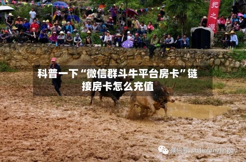 科普一下“微信群斗牛平台房卡	”链接房卡怎么充值-第2张图片