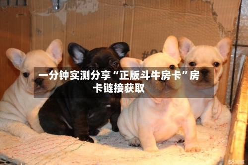 一分钟实测分享“正版斗牛房卡”房卡链接获取-第2张图片