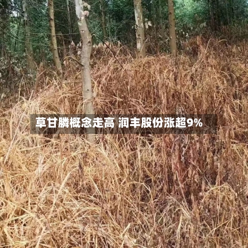 草甘膦概念走高 润丰股份涨超9%-第2张图片