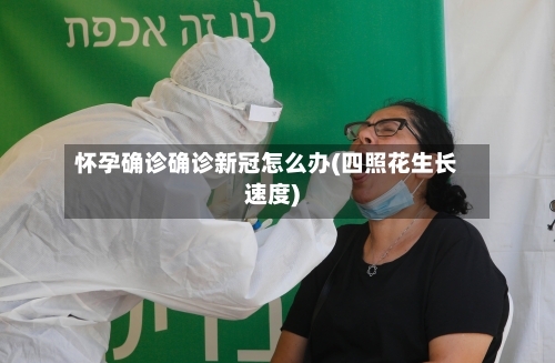 怀孕确诊确诊新冠怎么办(四照花生长速度)