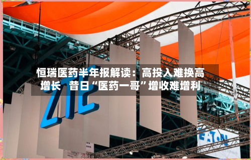 恒瑞医药半年报解读：高投入难换高增长   昔日“医药一哥	”增收难增利-第2张图片