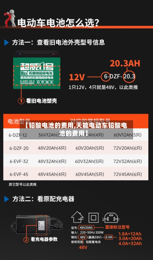 【铅酸电池的费用,天能电动车铅酸电池的费用】-第2张图片