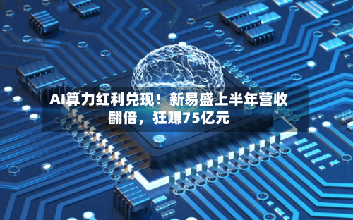 AI算力红利兑现！新易盛上半年营收翻倍，狂赚75亿元-第3张图片