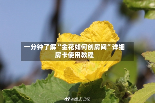 一分钟了解“金花如何创房间”详细房卡使用教程