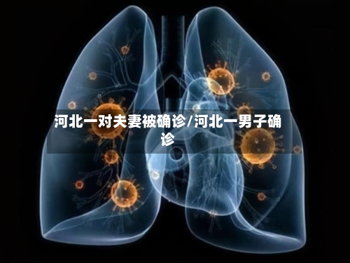 河北一对夫妻被确诊/河北一男子确诊-第2张图片