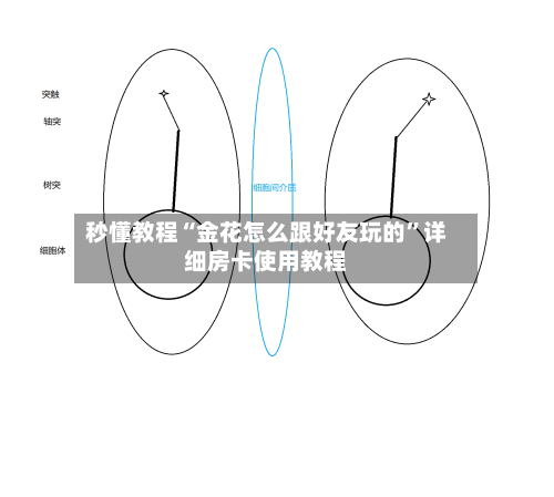 秒懂教程“金花怎么跟好友玩的	”详细房卡使用教程-第2张图片