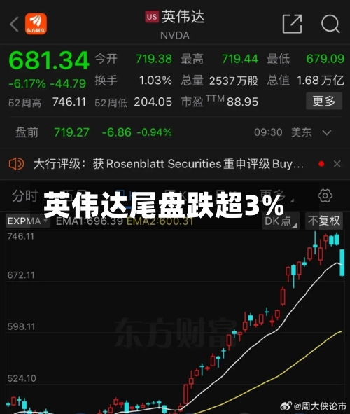 英伟达尾盘跌超3%