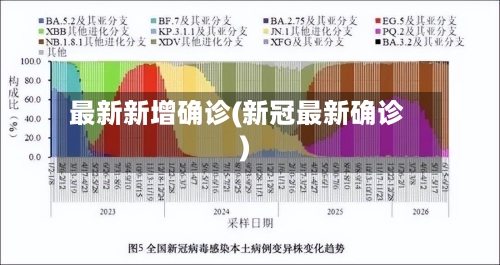 最新新增确诊(新冠最新确诊)-第3张图片