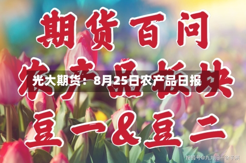 光大期货:8月25日农产品日报-第2张图片