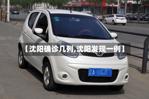 【沈阳确诊几列,沈阳发现一例】
