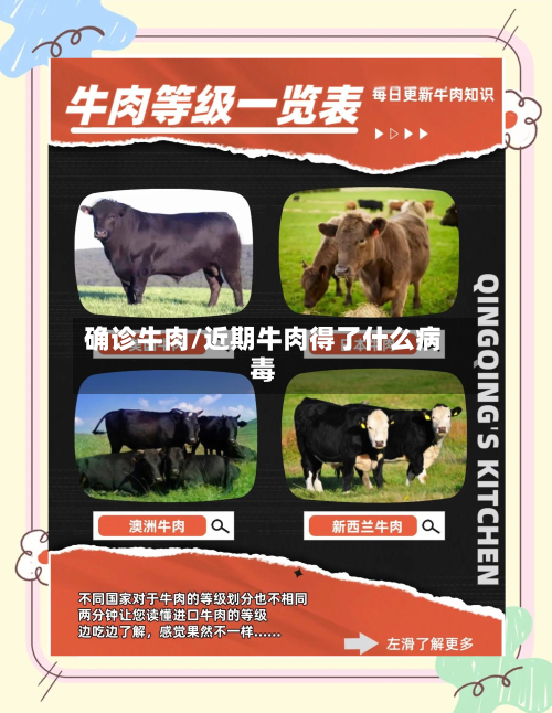 确诊牛肉/近期牛肉得了什么病毒-第2张图片