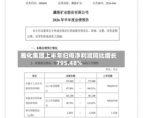 雅化集团上半年归母净利润同比增长795.48%-第3张图片