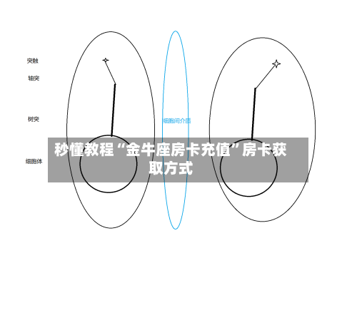 秒懂教程“金牛座房卡充值”房卡获取方式-第2张图片