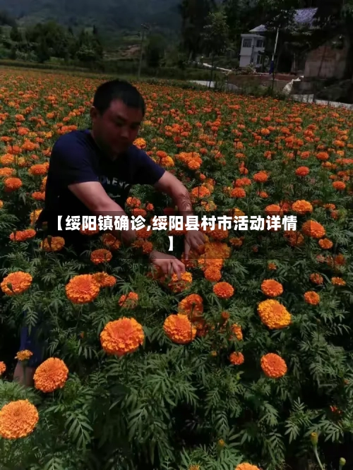 【绥阳镇确诊,绥阳县村市活动详情】-第2张图片