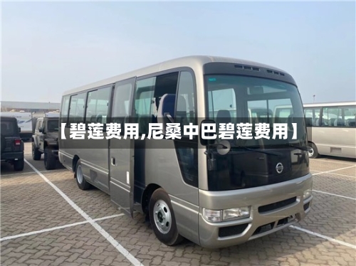 【碧莲费用,尼桑中巴碧莲费用】-第3张图片