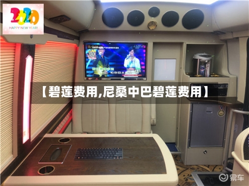 【碧莲费用,尼桑中巴碧莲费用】-第2张图片