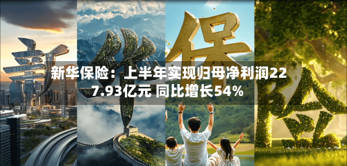 新华保险：上半年实现归母净利润227.93亿元 同比增长54%