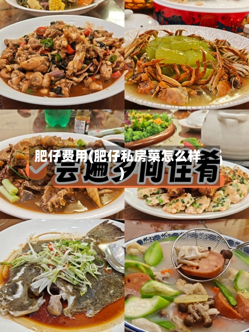 肥仔费用(肥仔私房菜怎么样)-第2张图片