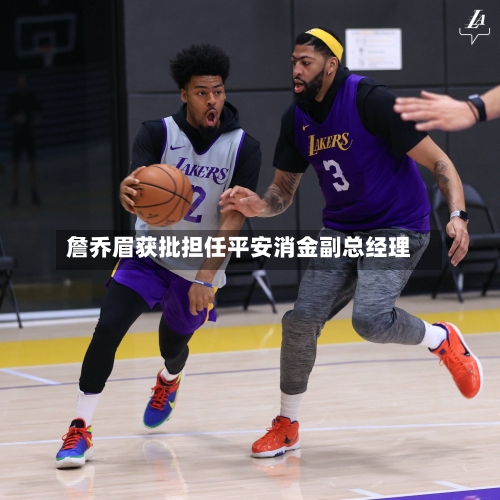 詹乔眉获批担任平安消金副总经理
