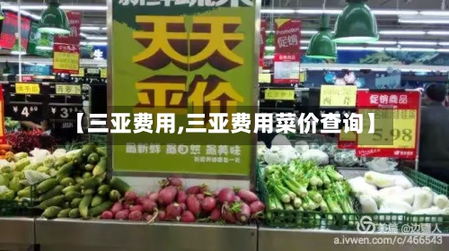 【三亚费用,三亚费用菜价查询】-第3张图片