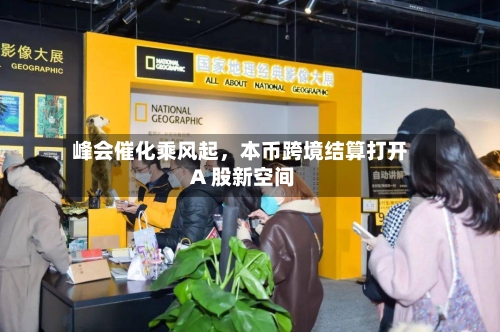 峰会催化乘风起，本币跨境结算打开 A 股新空间