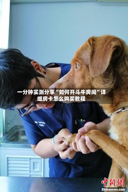 一分钟实测分享“如何开斗牛房间”详细房卡怎么购买教程