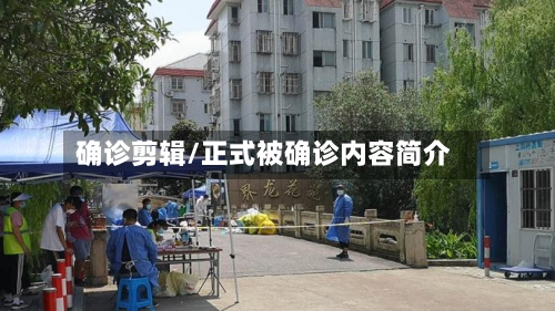 确诊剪辑/正式被确诊内容简介-第2张图片