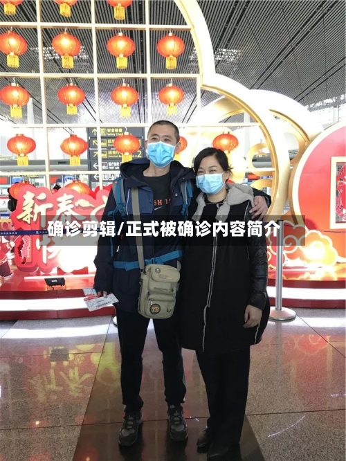 确诊剪辑/正式被确诊内容简介