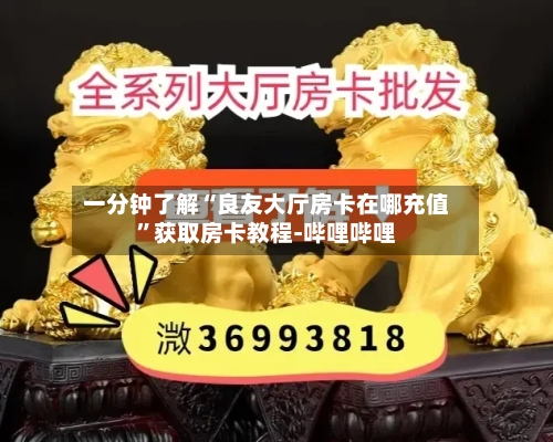 一分钟了解“良友大厅房卡在哪充值”获取房卡教程-哔哩哔哩-第2张图片