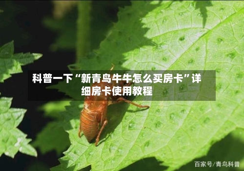 科普一下“新青鸟牛牛怎么买房卡”详细房卡使用教程-第2张图片