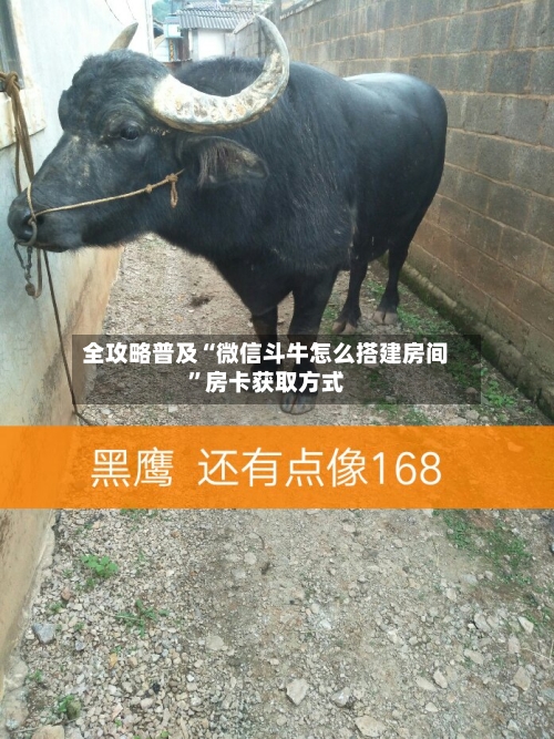 全攻略普及“微信斗牛怎么搭建房间”房卡获取方式