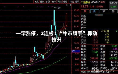 一字涨停，2连板！“牛市旗手	” 异动拉升-第3张图片