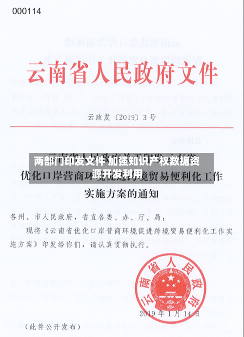 两部门印发文件 加强知识产权数据资源开发利用