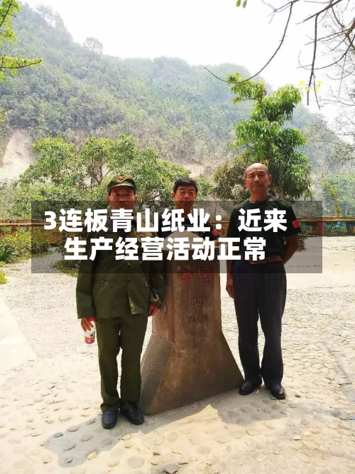 3连板青山纸业：近来生产经营活动正常-第3张图片