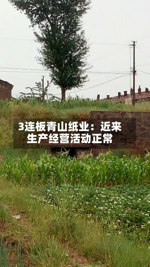 3连板青山纸业：近来生产经营活动正常-第2张图片