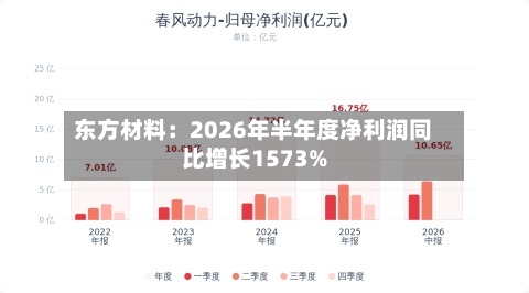 东方材料：2026年半年度净利润同比增长1573%-第2张图片