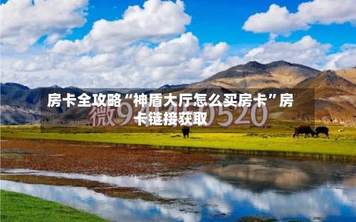 房卡全攻略“神盾大厅怎么买房卡”房卡链接获取-第3张图片