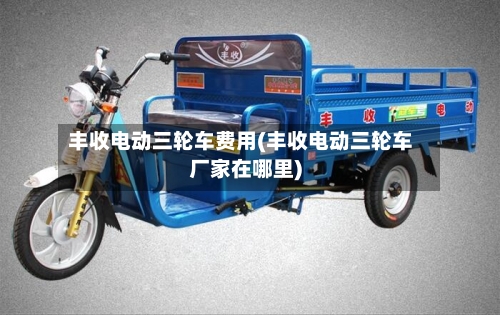 丰收电动三轮车费用(丰收电动三轮车厂家在哪里)