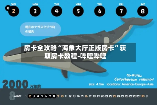 房卡全攻略“海象大厅正版房卡”获取房卡教程-哔哩哔哩