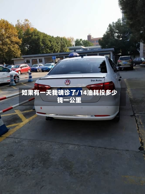 如果有一天我确诊了/14油耗投多少钱一公里-第3张图片