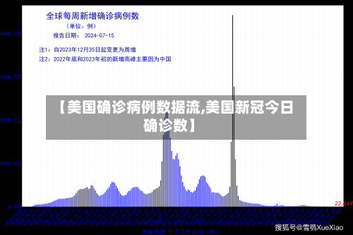 【美国确诊病例数据流,美国新冠今日确诊数】-第2张图片