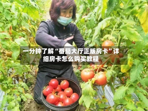 一分钟了解“番茄大厅正版房卡”详细房卡怎么购买教程-第2张图片