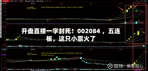 开盘直接一字封死！002084 ，五连板，这只小票火了-第2张图片