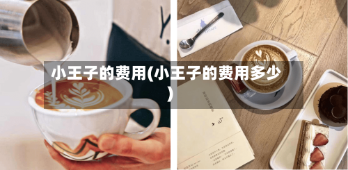 小王子的费用(小王子的费用多少)