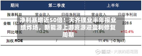 净利暴增近50倍！天齐锂业半年报业绩炸场，新能源上游资源迎盈利修复周期-第2张图片